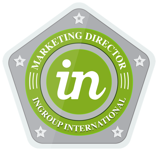 Pin oficial Marketing Director